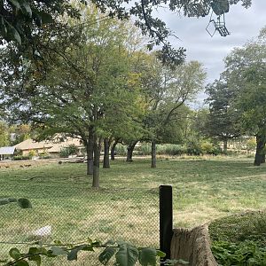 African Grasslands - Giraffe/Impala/Lesser Kudu/Ostrich/White Stork