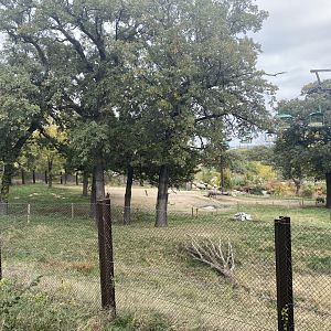 African Grasslands - Giraffe/Impala/Lesser Kudu/Ostrich/White Stork