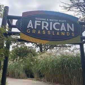 African Grasslands - Entrance