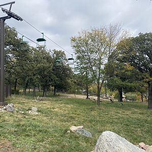 African Grasslands - Giraffe/Impala/Lesser Kudu/Ostrich/White Stork