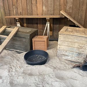 African Grasslands - Indoor Meerkat Exhibit