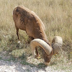 9/11/2021 - Super Close!