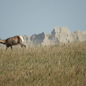 9/11/2021 - A Breathtaking Stroll