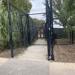 African Grasslands - Giraffe Transfer Chute