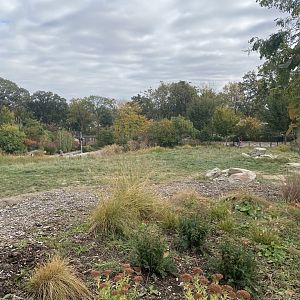 African Grasslands - Giraffe/Impala/Leaser Kudu/Ostrich/White Stork