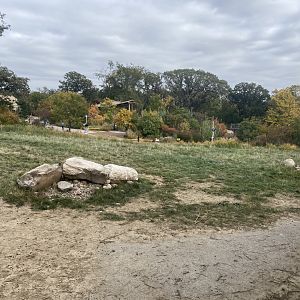 African Grasslands - Giraffe/Impala/Leaser Kudu/Ostrich/White Stork