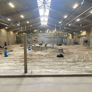 African Grasslands - Elephant Herd Rooms