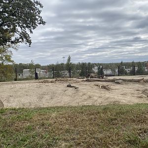 African Grasslands - African Bush Elephant Exhibit