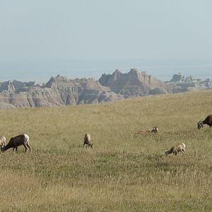 9/11/2021 - Meal in the Mountains