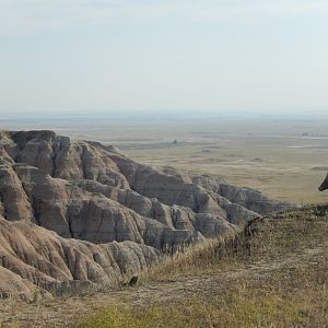 9/11/2021 - Surveying the Land