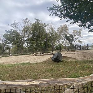 African Grasslands - Grant’s Zebra/African Bush Elephant Exhibit