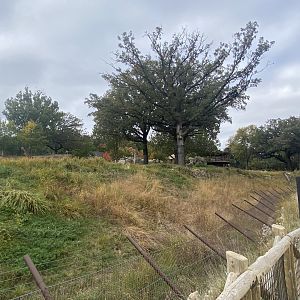 African Grasslands - Giraffe/Impala/Leaser Kudu/Ostrich/White Stork
