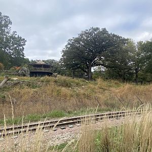 African Grasslands - Giraffe/Impala/Leaser Kudu/Ostrich/White Stork