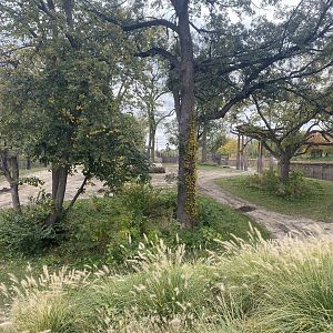 African Grasslands - Grant’s Zebra/African Bush Elephant Exhibit