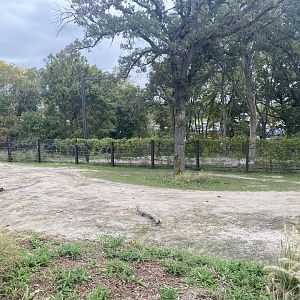 African Grasslands - Grant’s Zebra/African Bush Elephant Exhibit