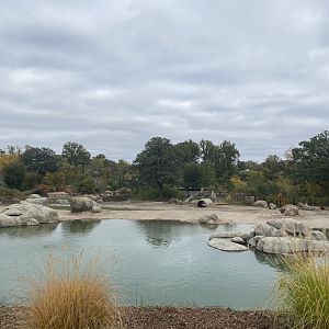 African Grasslands - Grant’s Zebra/African Bush Elephant Exhibit