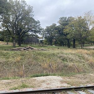 African Grasslands - Giraffe/Impala/Leaser Kudu/Ostrich/White Stork