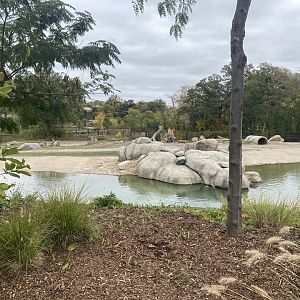 African Grasslands - Grant’s Zebra/African Bush Elephant Exhibit