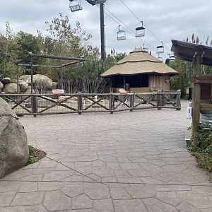 African Grasslands - Pygmy Goat Exhibit
