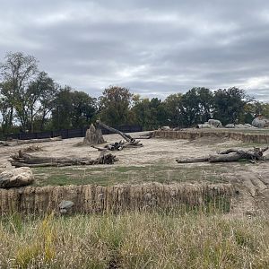 African Grasslands - Grant’s Zebra/African Bush Elephant Exhibit