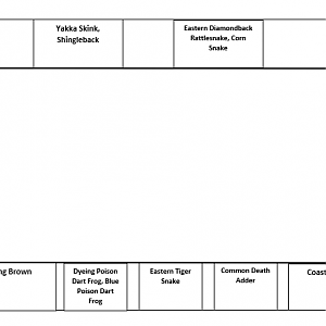 Reptile House Layout, October 2021
