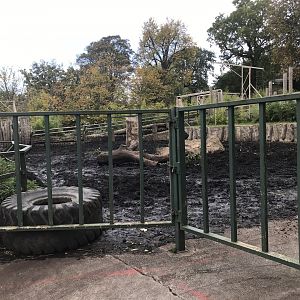 Indian rhino enclosure