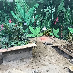 Newly refurbished armadillo enclosure