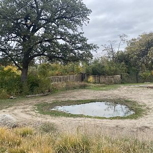 African Grasslands - Grant’s Zebra/African Bush Elephant Exhibit