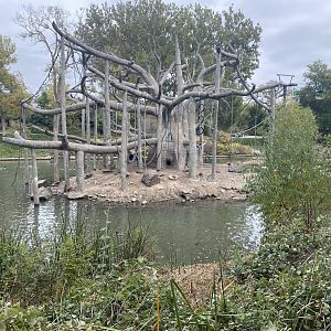 Lagoon - Black-Headed Spider Monkey/Egyptian GooseIsland