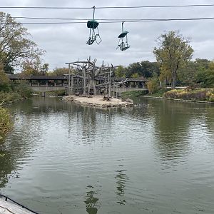 Lagoon - Black-Headed Spider Monkey/Egyptian Goose Island
