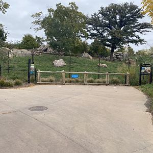 African Grasslands - Cheetah Exhibit