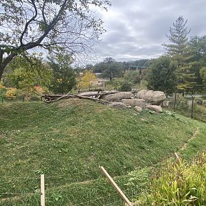 African Grasslands - Cheetah Exhibit