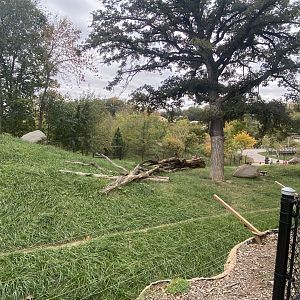 African Grasslands - Cheetah Exhibit