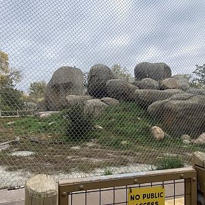 African Grasslands - African Lion Exhibit