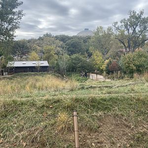 African Grasslands - Eastern Bongo/Blue Crane