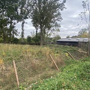 African Grasslands - Eastern Bongo/Blue Crane Exhibit