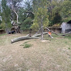 Asian Highlands - Red Panda/Reeve’s Muntjac Exhibit