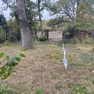 Asian Highlands - White-Naped Crane Exhibit