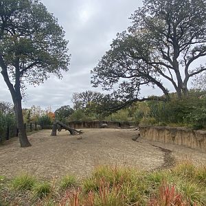 Asian Highlands - Indian Rhinoceros/Père David’s Deer Exhibit