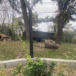Asian Highlands - Sloth Bear Exhibit
