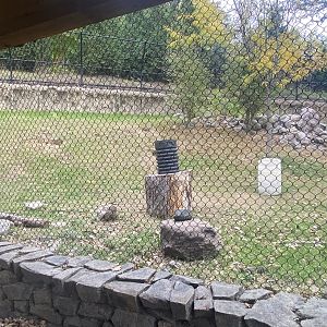 Asian Highlands - Sloth Bear Exhibit