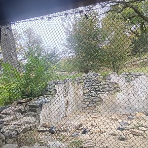 Asian Highlands - Sloth Bear Exhibit
