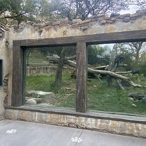 Asian Highlands - Sloth Bear Exhibit