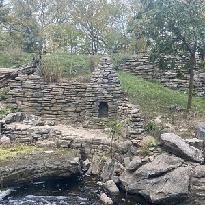 Asian Highlands - Amur Tiger Exhibit