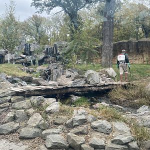 Asian Highlands - Amur Tiger Exhibit