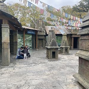 Asian Highlands - Amur Tiger Viewing Area