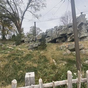Asian Highlands - Snow Leopard Exhibit
