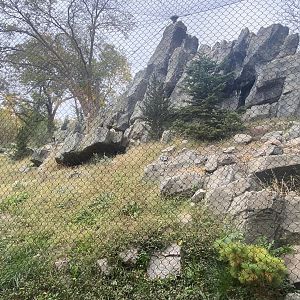 Asian Highlands - Snow Leopard Exhibit