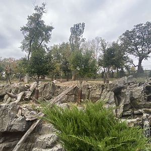 Asian Highlands - Sichuan Takin/Chinese Goral Exhibit