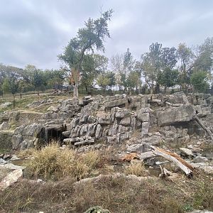 Asian Highlands - Sichuan Takin/Chinese Goral Exhibit